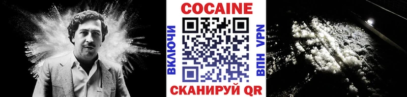 COCAIN Fish Scale  Купить  Архангельск 